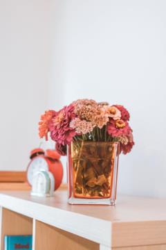 346895Entoli apartmaji 8